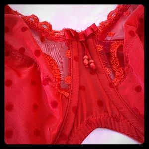 Prima Donna twist, lace bra. 34G